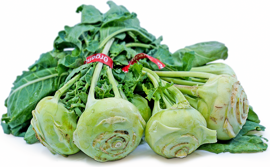 Green Kohlrabi picture