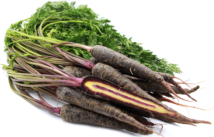 Baby Purple Bunch Carrots picture