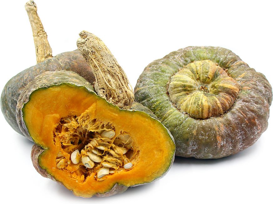 Green Buttercup Squash Information, Recipes and Facts