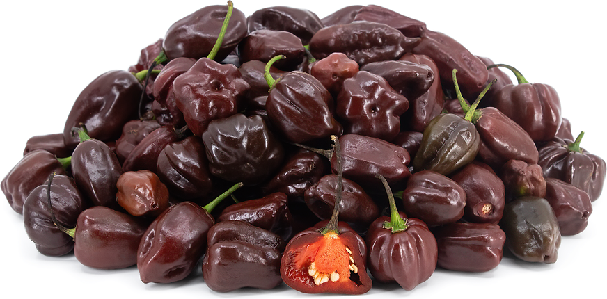 Black Habanero Chile Peppers picture