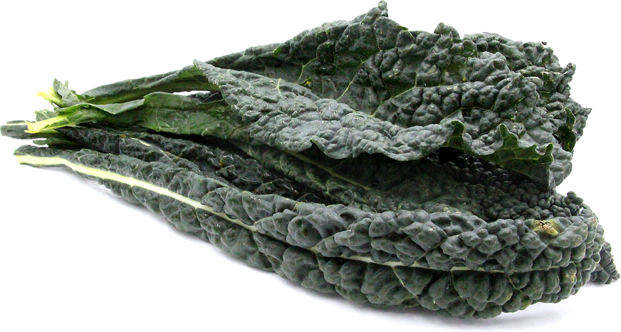 Black Kale picture