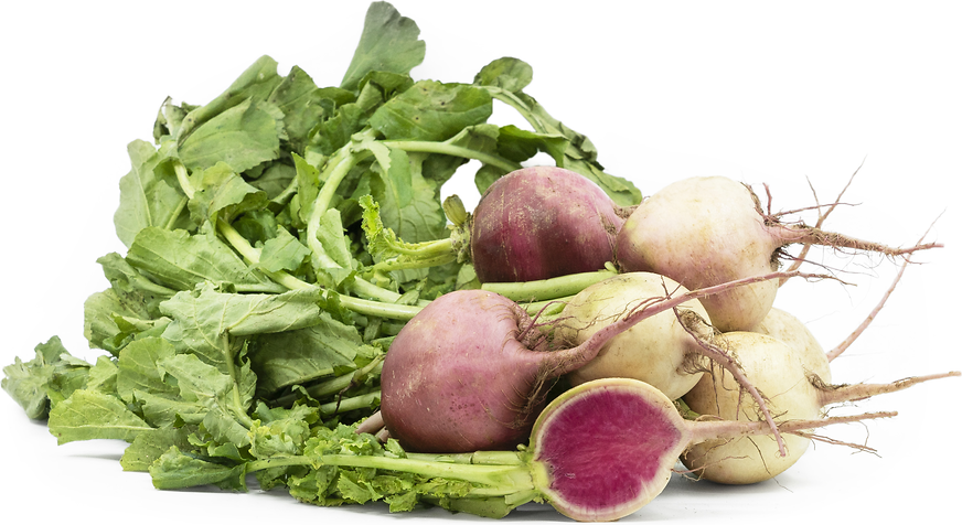 Watermelon Radish picture