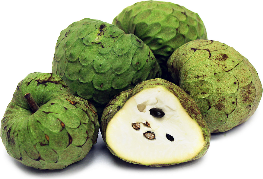 Cherimoya picture