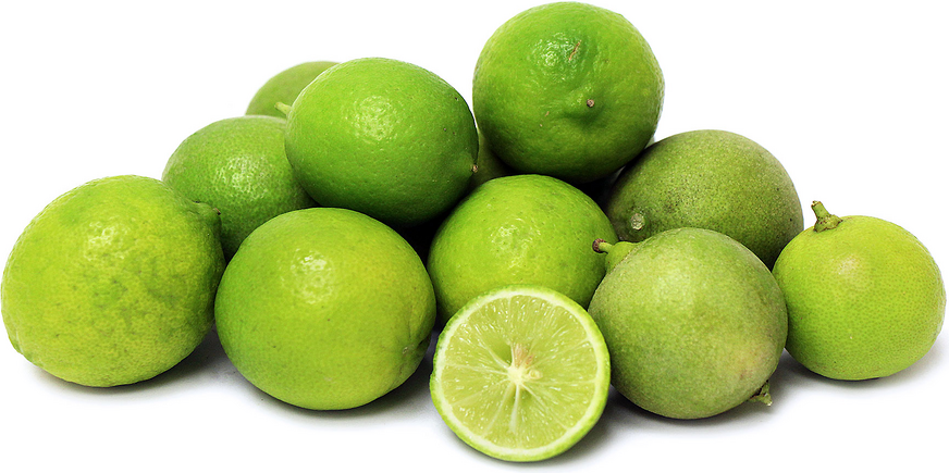 Key Limes picture