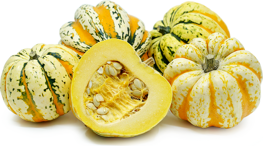 Carnival Squash picture