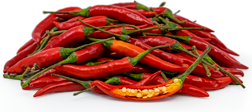 Red Thai Chile Peppers picture